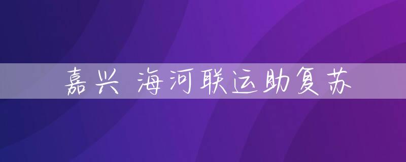嘉兴 海河联运助复苏